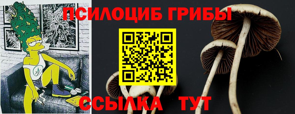 Грязи  Галлюциногенные грибы Cubensis  Псилоцибиновые грибы MAGIC MUSHROOMS  Вход с VPN 